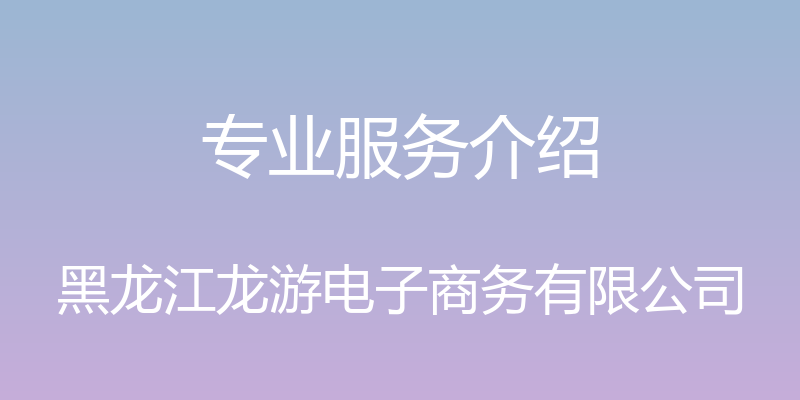 专业服务介绍 - 黑龙江龙游电子商务有限公司