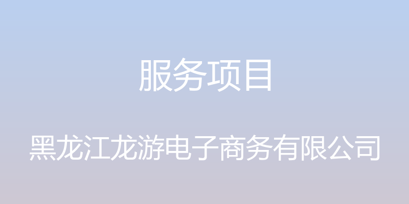 服务项目 - 黑龙江龙游电子商务有限公司