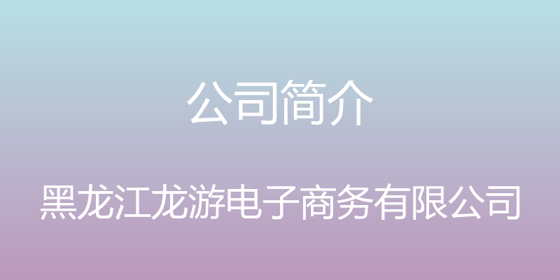 公司简介 - 黑龙江龙游电子商务有限公司