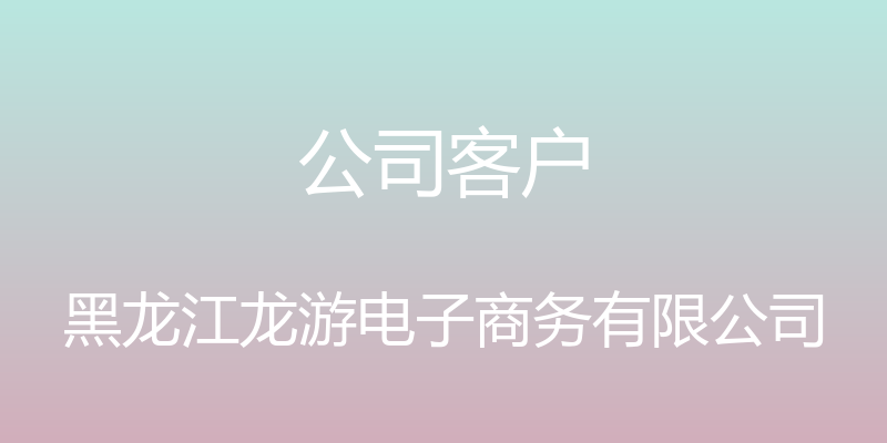 公司客户 - 黑龙江龙游电子商务有限公司