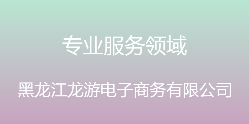 专业服务领域 - 黑龙江龙游电子商务有限公司