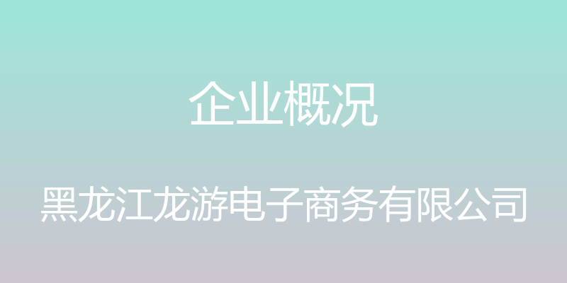 企业概况 - 黑龙江龙游电子商务有限公司