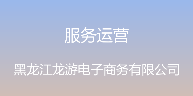 服务运营 - 黑龙江龙游电子商务有限公司